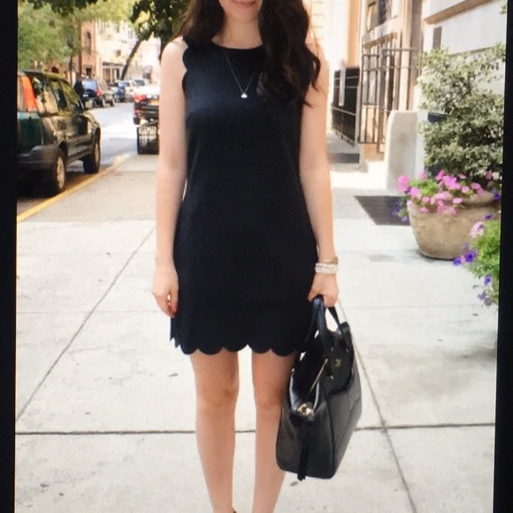 Jcrew Navy Scalloped Dress - Picture 12 of 16